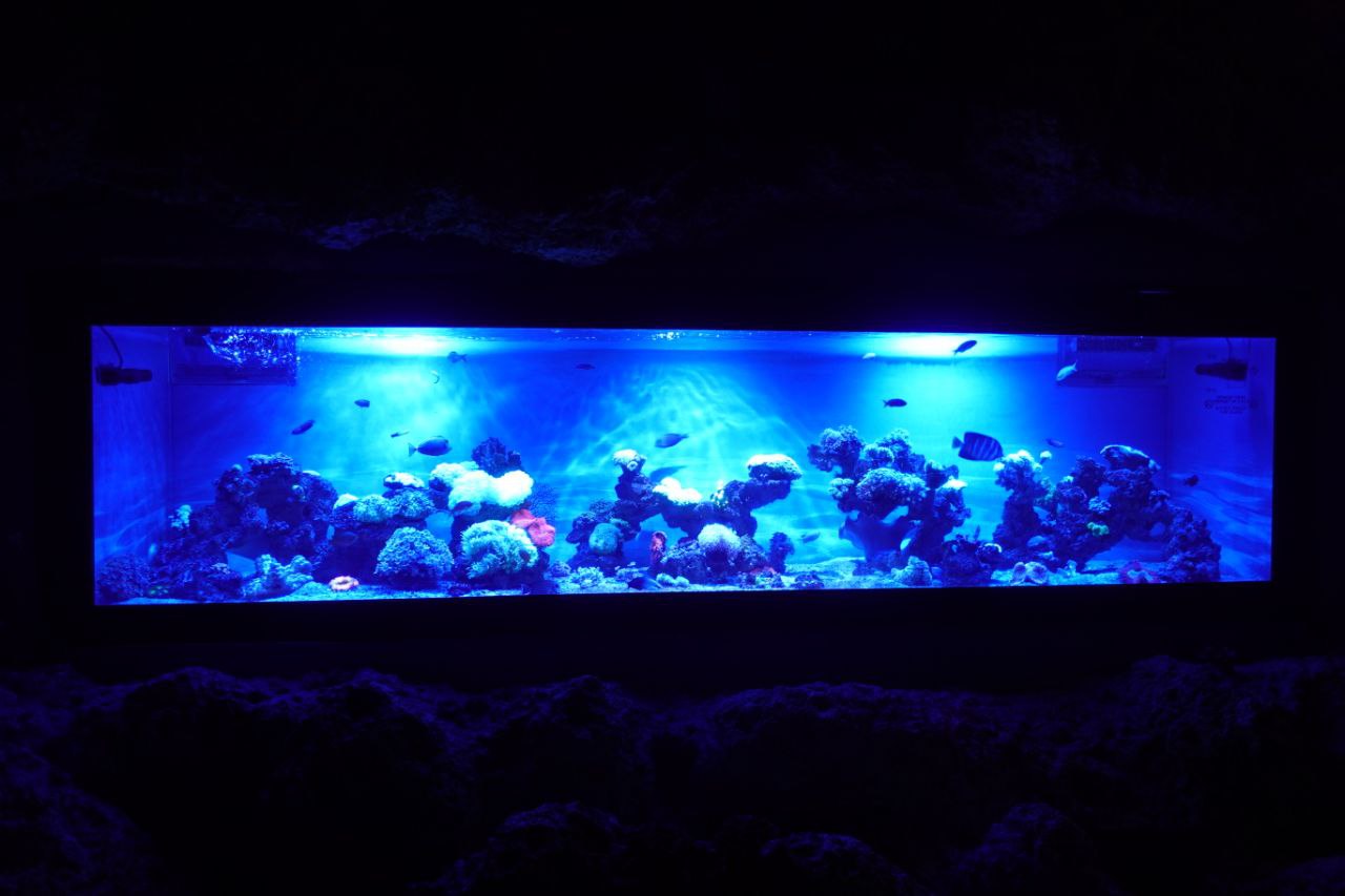 Jakarta Aquarium