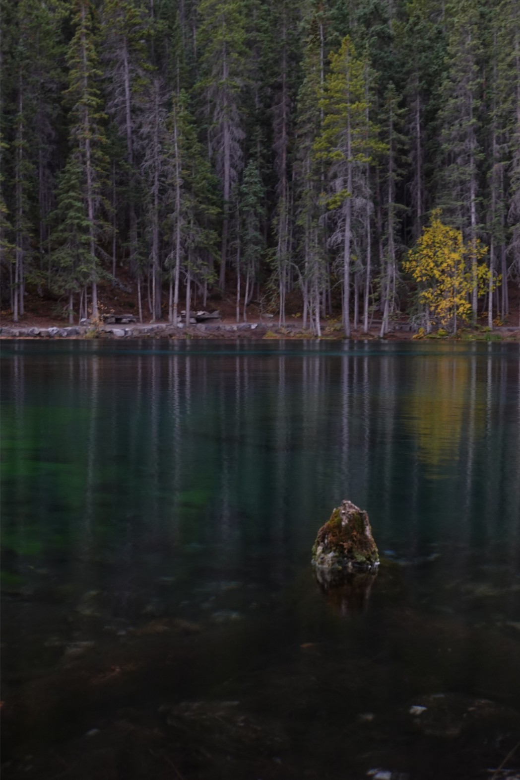Grassi Lakes