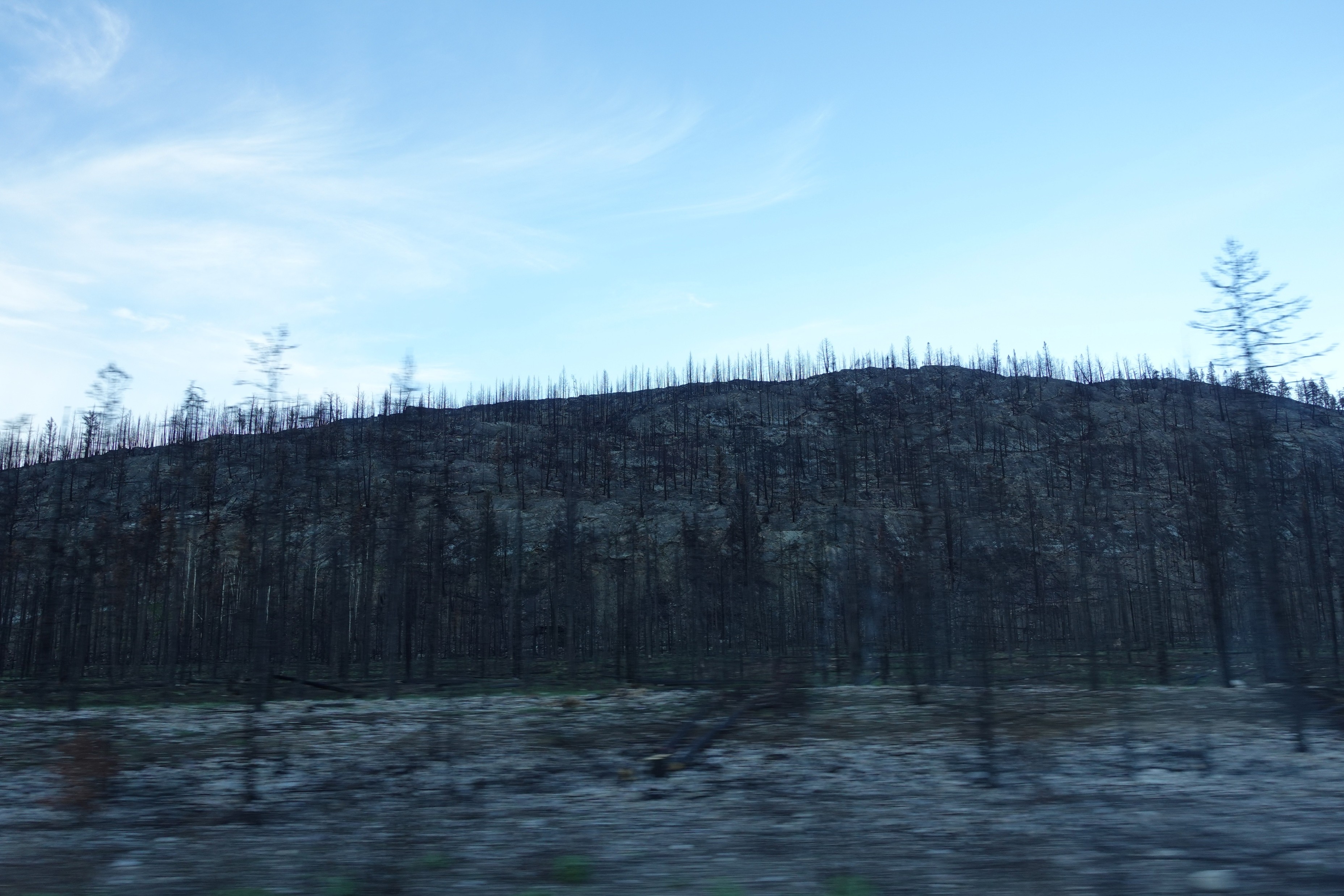 Scenery