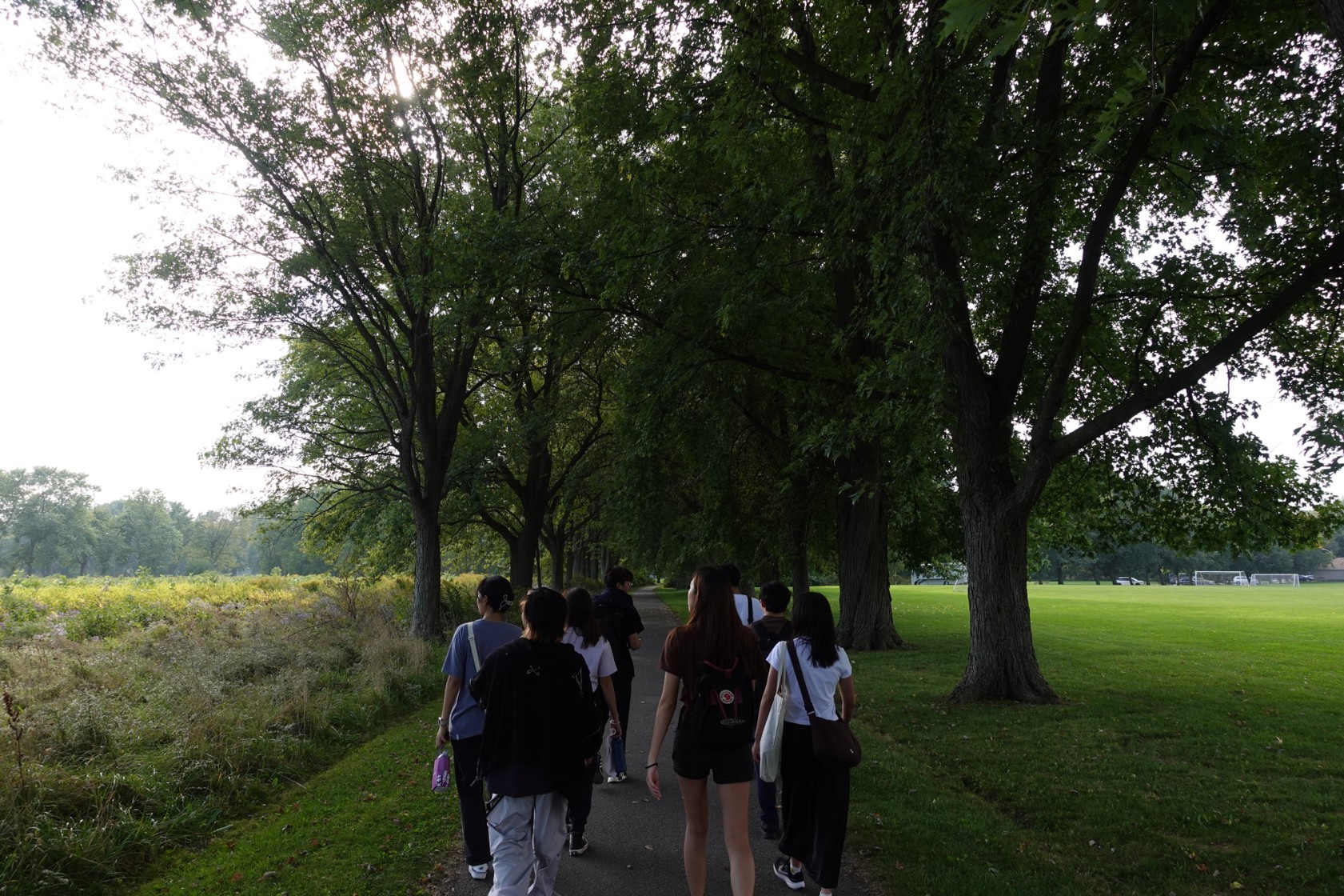 NOTL