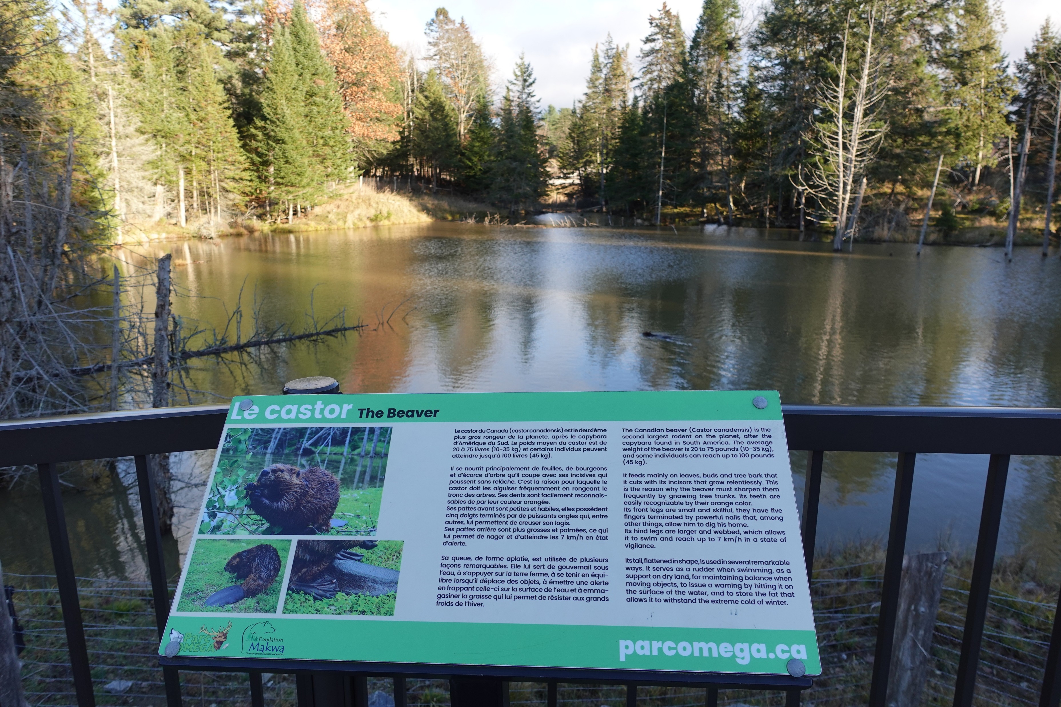 Parc Omega