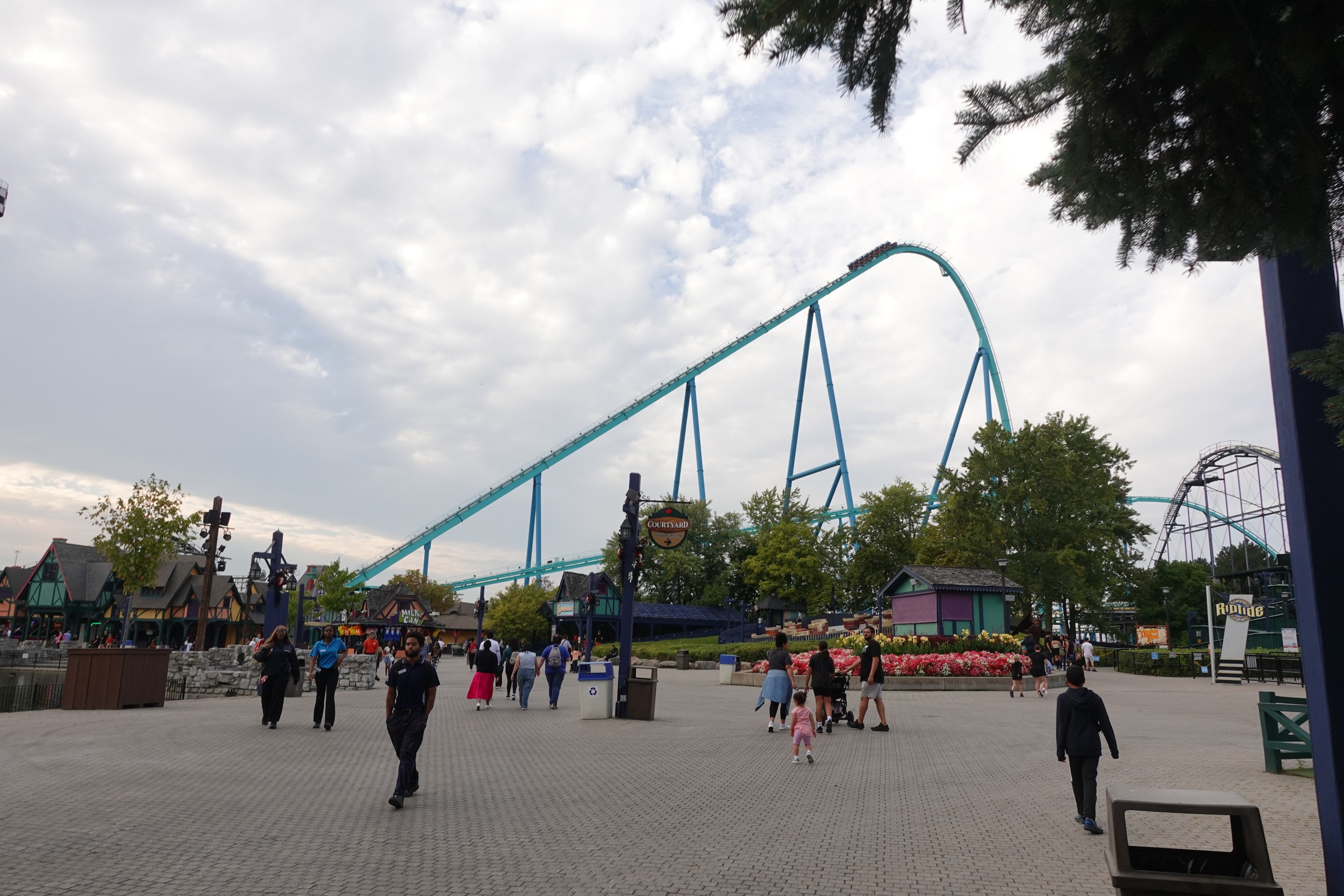 Wonderland!